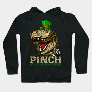 Warning Pinch at your own Risk I Funny St. Patrick's Day graphic Hoodie